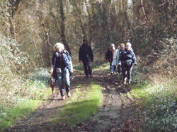Randonnée à Chouzé-sur-Loire