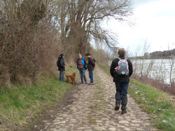 Randonnée à Chouzé-sur-Loire