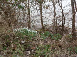 Randonnée à Chouzé-sur-Loire