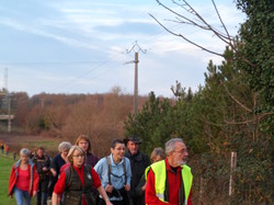 Randonnée à Langeais