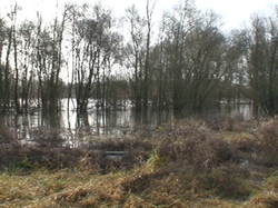 Randonnée à Luynes du 05 janvier 2014