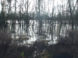 Randonnée à Luynes du 05 janvier 2014