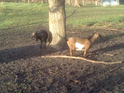 Randonnée à Luynes du 05 janvier 2014
