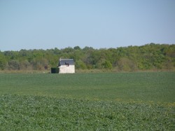 Randonnée à Marnay 22 avril 2017