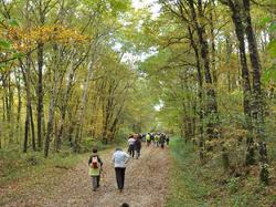 Randonnée à PERNAY + visite unité méthanisation