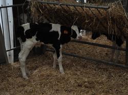 Randonnée à PERNAY + visite unité méthanisation