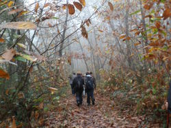 Randonnée à Saint Nicolas de Bourgeuil