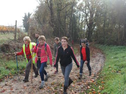 Randonnée à Saint Nicolas de Bourgeuil