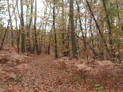 Randonnée à Saint Nicolas de Bourgeuil