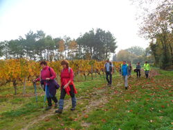 Randonnée à Saint Nicolas de Bourgeuil
