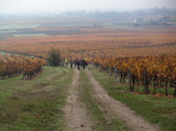 Randonnée à Saint Nicolas de Bourgeuil