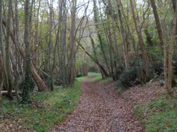 Randonnée à Savonnières