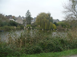 Randonnée à St Martin le Beau samedi 16 novembre 2013