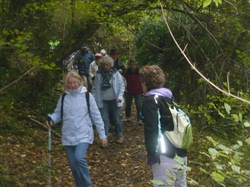 Randonnée à St Martin le Beau samedi 16 novembre 2013