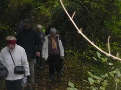 Randonnée à St Martin le Beau samedi 16 novembre 2013