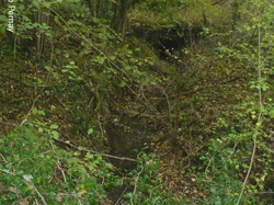 Randonnée à St Martin le Beau samedi 16 novembre 2013