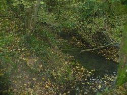 Randonnée à St Martin le Beau samedi 16 novembre 2013