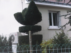 Randonnée à St Martin le Beau samedi 16 novembre 2013