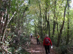 Randonnée à VEIGNE 22/10/2016