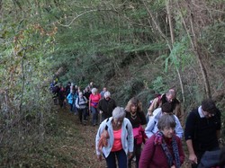 Randonnée à VEIGNE 22/10/2016