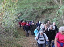 Randonnée à VEIGNE 22/10/2016