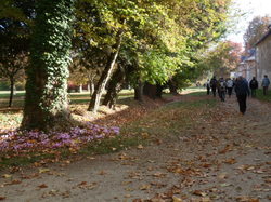 Randonnée à VEIGNE 22/10/2016