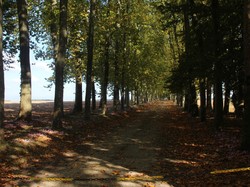 Randonnée à VEIGNE 22/10/2016