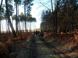 Randonnée Avrillé-les-Ponceaux 03/02/2019