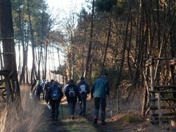 Randonnée Avrillé-les-Ponceaux 03/02/2019