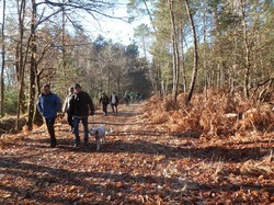 Randonnée Avrillé-les-Ponceaux 03/02/2019