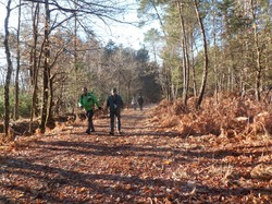 Randonnée Avrillé-les-Ponceaux 03/02/2019