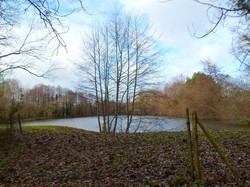 Randonnée Avrillé-les-Ponceaux 03/02/2019