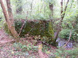 Randonnée Barbecue à Mazières de Touraine