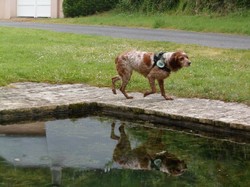 Randonnée barbecue LES HERMITES