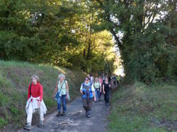 Randonnée Bourgueil -  Caves et moulins11,5 km