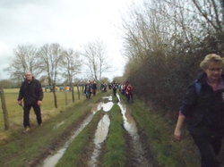 Randonnée CINQ-MARS / BERTHENAY