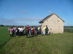 Randonnée d'Automne et pot au feu 06 octobre 2013 138 participants