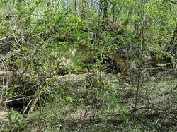 Randonnée d'orientation - 19 avril 2016