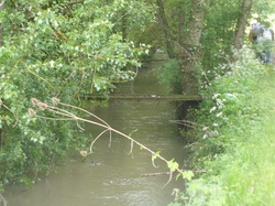 Randonnée de 13,700 km à 37800 St Epain