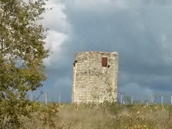 Randonnée de 13km à Beaumont en Véron