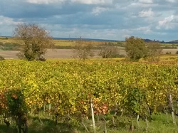 Randonnée de 13km à Beaumont en Véron
