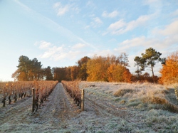 Randonnée de 13km à Beaumont en Véron