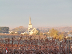 Randonnée de 13km à Beaumont en Véron