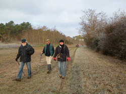 Randonnée de 13km à Beaumont en Véron