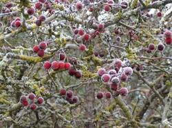 Randonnée de 13km à Beaumont en Véron