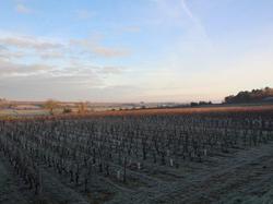 Randonnée de 13km à Beaumont en Véron