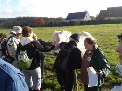 Randonnée de Cerelles 02 décembre 2012