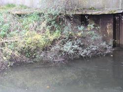 Randonnée de Fondettes Val Choisille 10,400 km