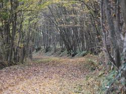 Randonnée de Fondettes Val Choisille 10,400 km
