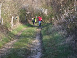 Randonnée de Printemps